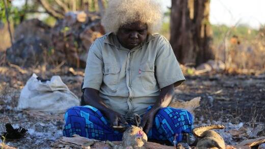 Patsy, of the Gunavidji people, prepares a magpie goose for dinner. Photo: Ben Groundwater