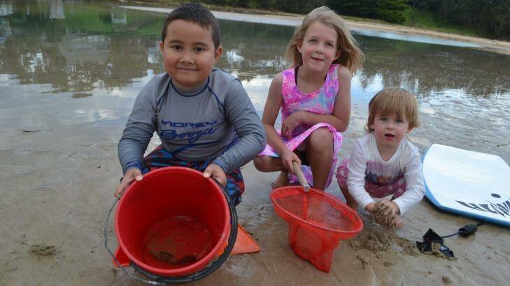 A Canberra family found a blue-ringed octopus at Broulee (from left) Angus McGregor, 6, with cousins Lily, 7, and Brook McGregor, 2. Photo: Emily Barton, Bay Post