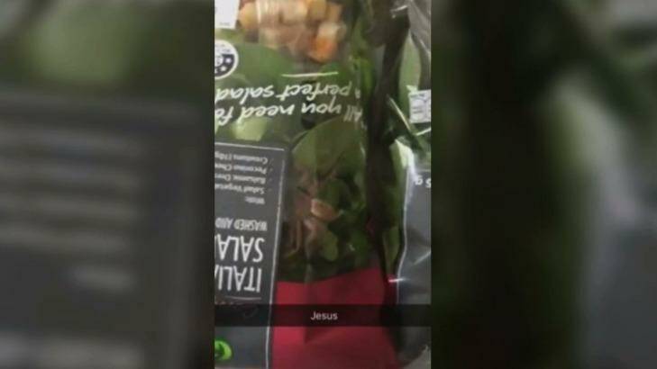 The huntsman that Zoe Perry found in her Woolworths-brand Italian Style Salad mix. Photo: Screengrab from video