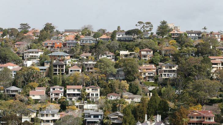 Mosman is one of various areas in NSW where home owners have been able to capitalise on regulations and clear greenery without council approval. Photo: Daniel Munoz