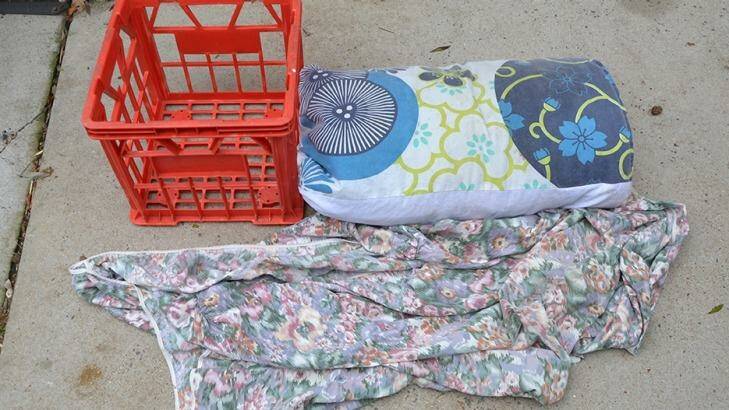The crate the kitten was left in, including a pillow and blanket. Photo: RSPCA ACT