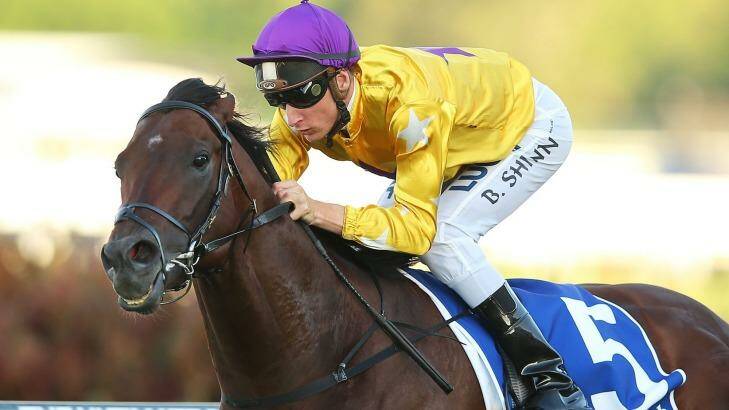 In a good place: Blake Shinn and Pornichet will tackle Saturday's Chelmsford Stakes. Photo: Brendon Thorne