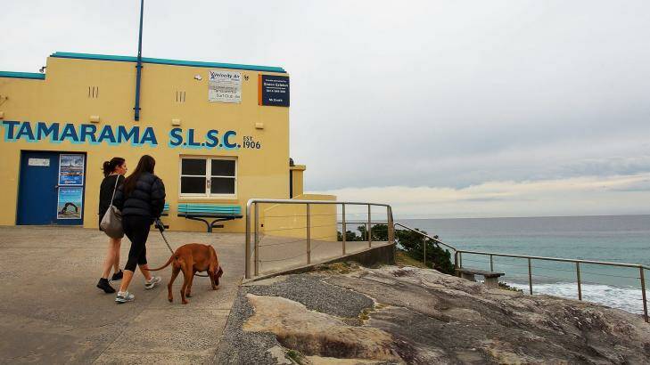 The path ahead will be getting warmer: Women walk a dog at Tamarama Beach. Photo: Getty Images/Lisa Maree Williams