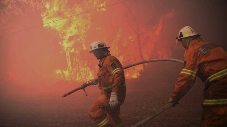 Members of the NSW Rural Fire Service fight a blaze at Londonderry in November. Photo: Nick Moir