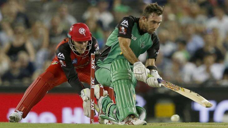 Heading back to international cricket: Glenn Maxwell batting for the Melbourne Stars against the Renegades on Saturday evening.
 Photo: Darrian Traynor