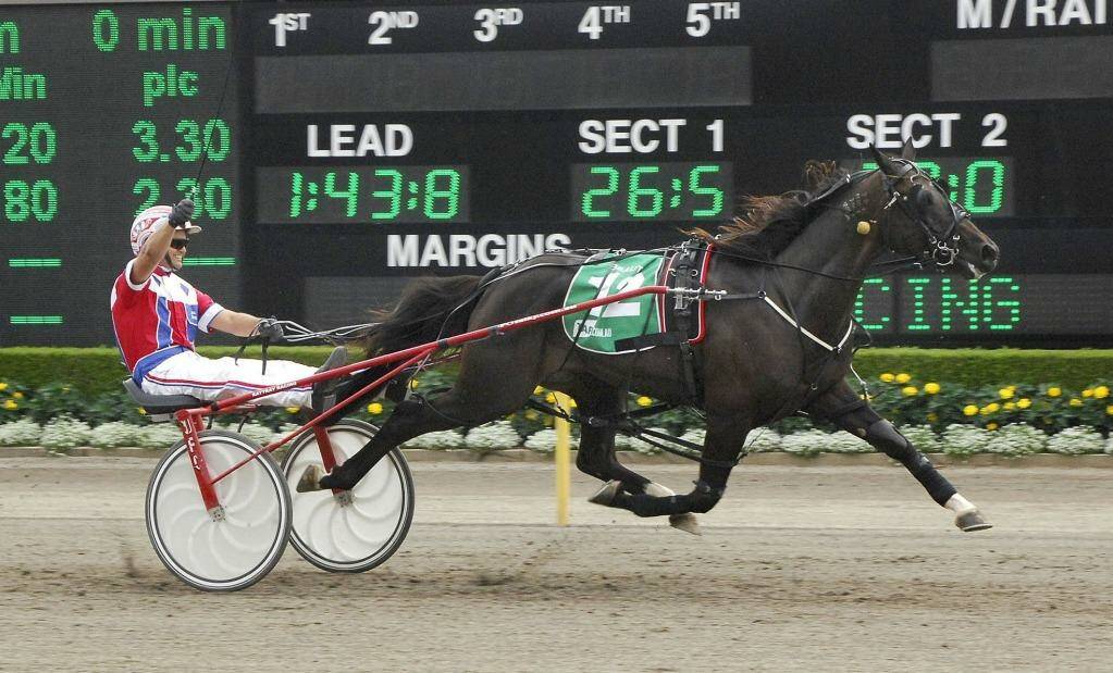 Firming: Miracle Mile favourite Beautide takes out the Interdominion in March. Photo: Michael Szabath