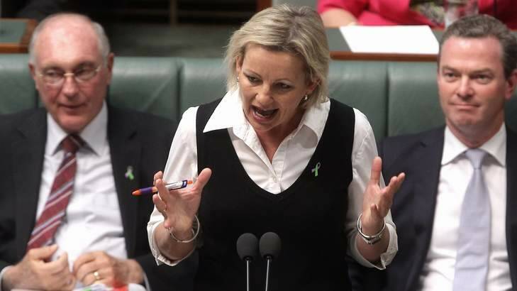 Assistant Education Minister Sussan Ley has dismissed some of the Productivity Commission's findings, including a redistribution of funds from its PPL scheme to childcare. Photo: Alex Ellinghausen