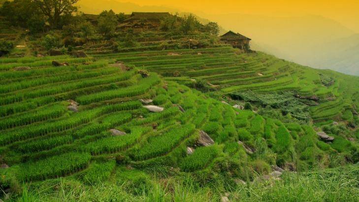 Enjoy a rice paddy trek in Ubud with this Bali package.