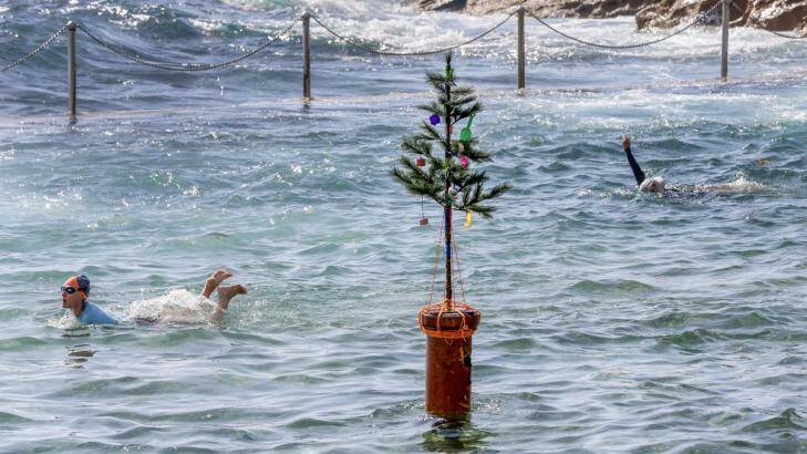 Swimmers at Wylies Baths in Coogee on Christmas Day. Photo: Dallas Kilponen