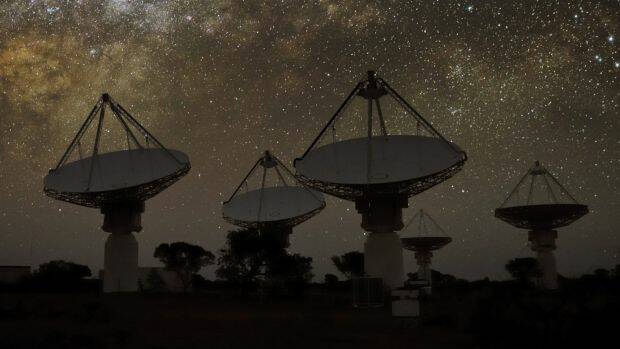 CSIRO's Square Kilometre Array radio telescope in Western Australia. Photo: Alex Cherney
