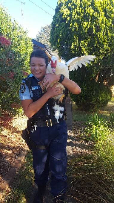 GOTCHA: The brave officer who caught the criminal duck.
